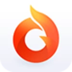 flame browser android application logo